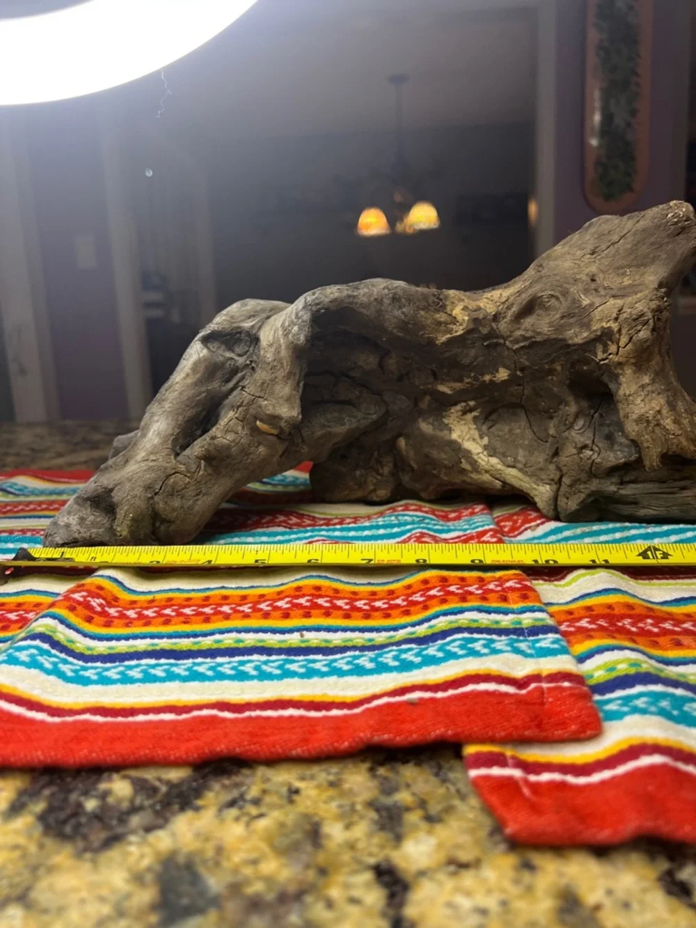 Natural Driftwood found on the James River Reptile Hide - Brown